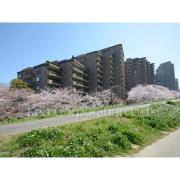 パークハウス多摩川 南壱番館