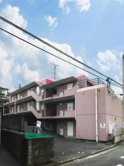 Oasis金山