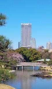 パークコート浜離宮ザタワー