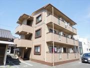 MAISON SKYHAWKII
