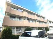 Gフォータン18
