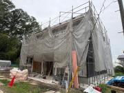 LEO GLANZII