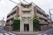 ルネ丸美・成増