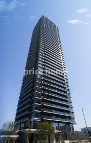 TERIHA THE TOWER