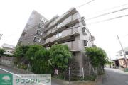 T′s garden柏