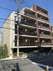 ペット相談NETフリー 礼ゼロ ディームス初台II ET