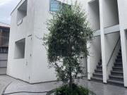 地下鉄御堂筋線昭和町駅まで徒歩13分