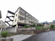 ソレイユ発春