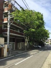 苦楽園ガーデンズ