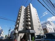 リバーライト菊水