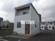 ホワイトカスタム D