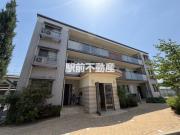 ステラ オブ アリエス