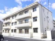 ベレオMY