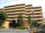 ダイアパレス大橋南弐番館