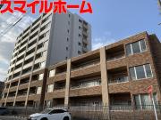 コルティーレマルフク