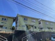 プライマリー植木