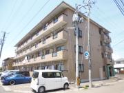 シティハイツ10番館