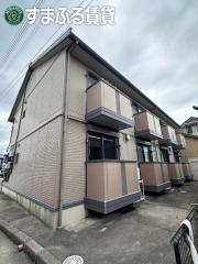 サンフラワー