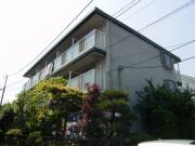 ＪＲ横須賀線保土ケ谷駅まで徒歩13分