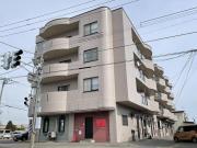 M′sねむの木