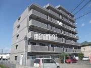 オークランド25