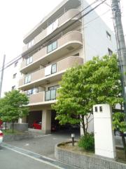 エクセルニシジマ