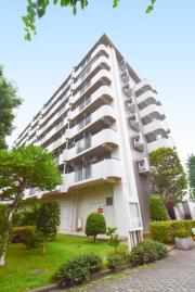 UR光が丘パークタウンゆりの木通り北