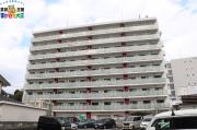 MODERN PALAZZO文教Prima