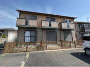 セトルセブン A