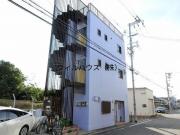 枇杷の木