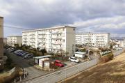 UR有野
