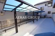 D Paina 中丸子