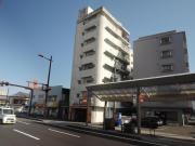 シーラカンス