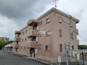 ハラマキハイツG