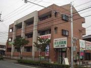 エクシード・菊入II