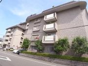 日商岩井上甲子園マンション
