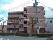 フェリチタ