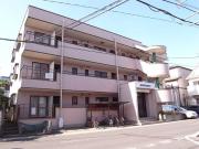 ルミネスカネコ