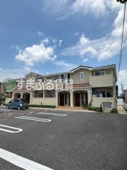 シーライト