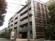 DIPS上北沢