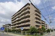 レジェンダリー小松