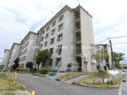 UR金剛団地 313号棟