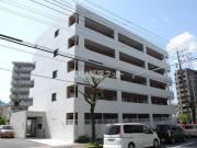 modern palazzo文教
