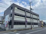 オリーブ