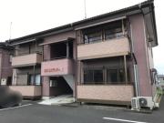 ネオ・エスティケー B