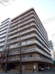 ライオンズマンション南3条