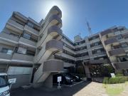 昭和マンション野草園