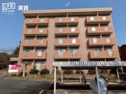 際波フォレストウインズ
