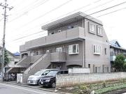 ラークスパー