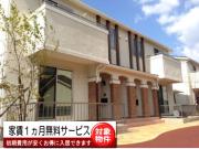 ジラソーレHY